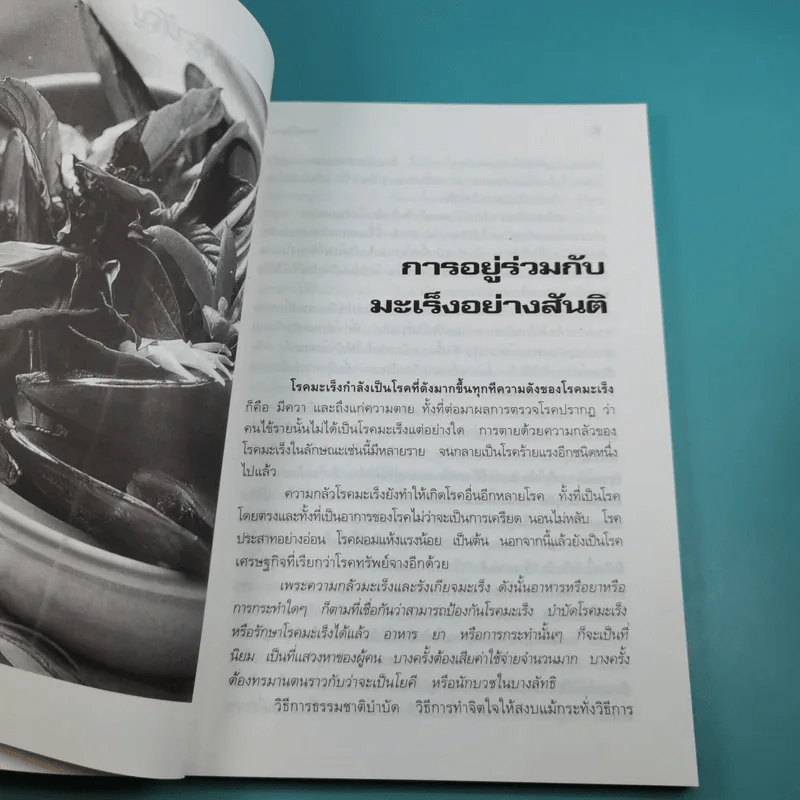อายุวัฒนะ - ไพศาล พืชมงคล รูปที่ 10