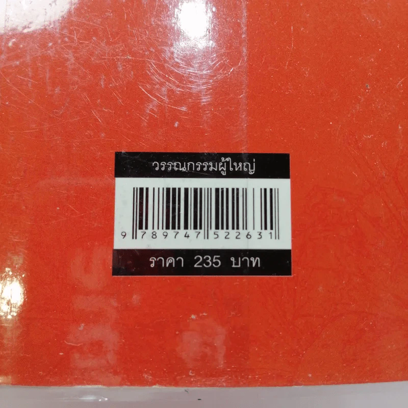 รักคืนเรือนใจ - แอลลี่ รูปที่ 13