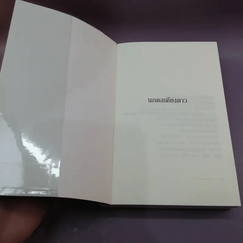 นภดลเคียงดาว - แอลลี่ รูปที่ 6