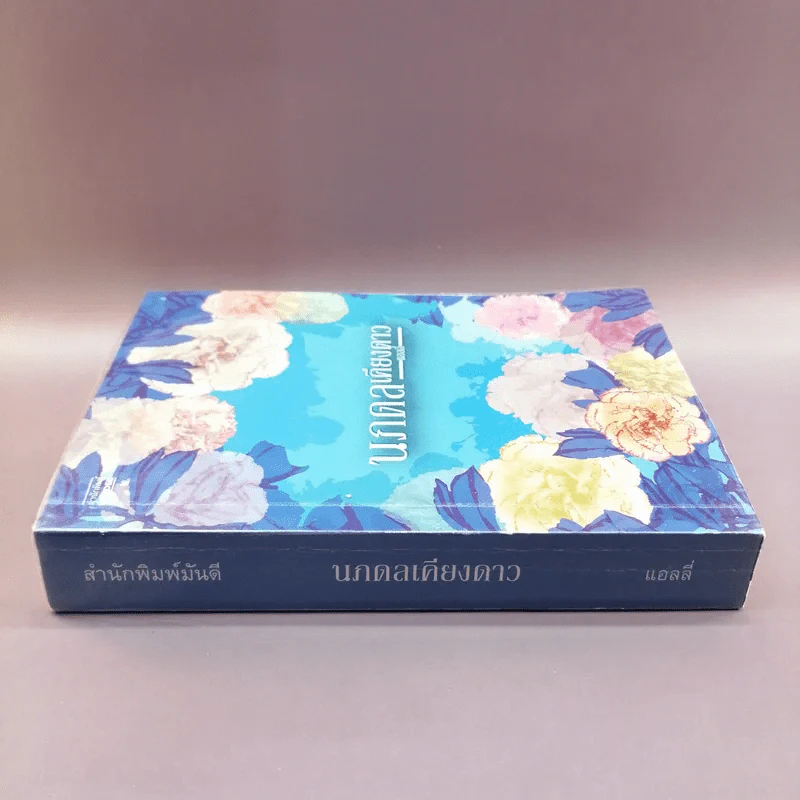 นภดลเคียงดาว - แอลลี่ รูปที่ 2