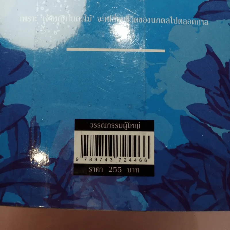 นภดลเคียงดาว - แอลลี่ รูปที่ 13