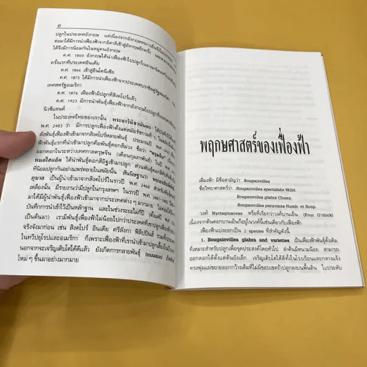 เฟื่องฟ้า - บรรณ บูรณะชนบท รูปที่ 10