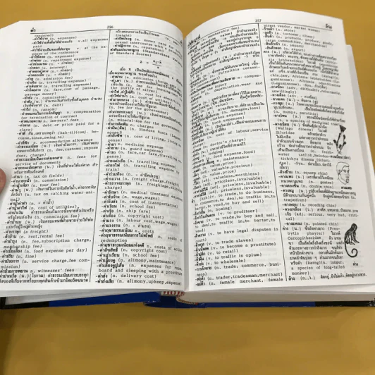 Thai-English Dictionary - ดร.วิทย์ เที่ยงบูรณธรรม รูปที่ 11