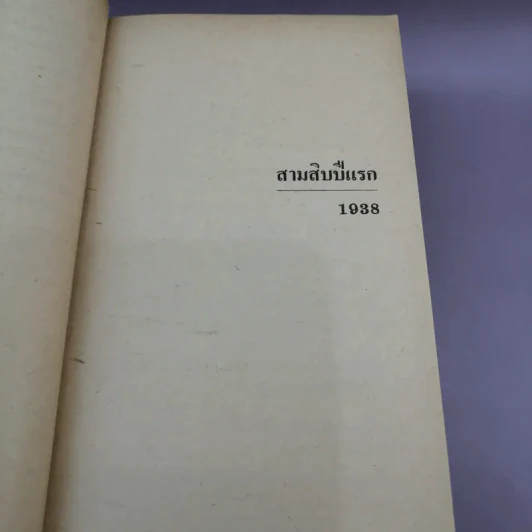 โลกมายา - ฮาโรลด์ รอบบิน รูปที่ 10