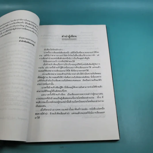 วิถีจอมยุทธ์ - วินัย สุกใส รูปที่ 11