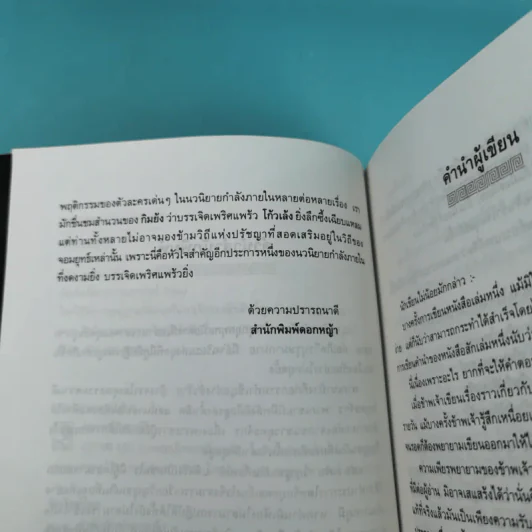 วิถีจอมยุทธ์ - วินัย สุกใส รูปที่ 10