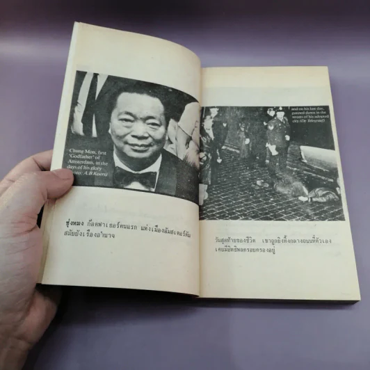 มาเฟียเลือดมังกร The Chinese Mafia - ลองแมน แปล รูปที่ 9