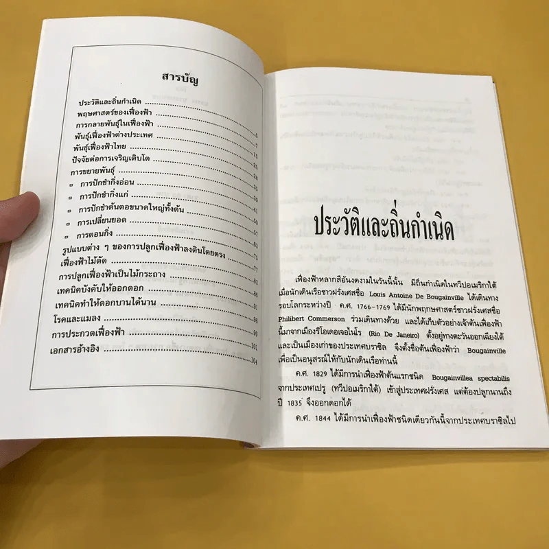 เฟื่องฟ้า - บรรณ บูรณะชนบท รูปที่ 9