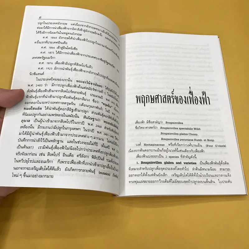 เฟื่องฟ้า - บรรณ บูรณะชนบท รูปที่ 10