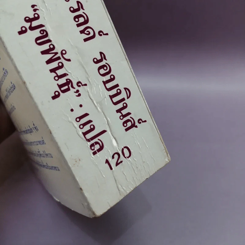 โลกมายา - ฮาโรลด์ รอบบิน รูปที่ 14