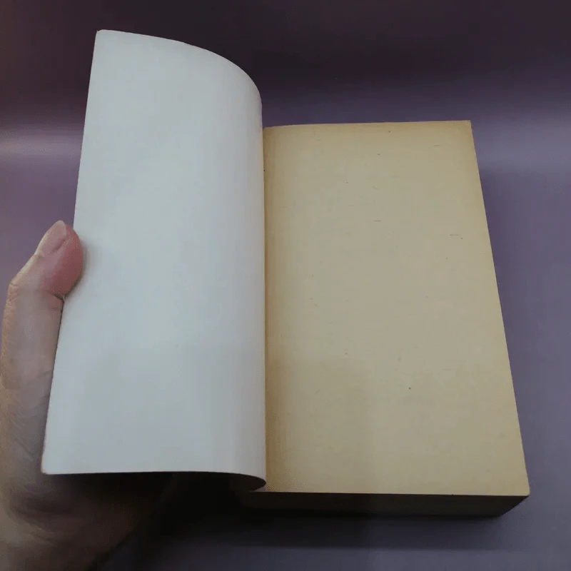 โลกมายา - ฮาโรลด์ รอบบิน รูปที่ 6