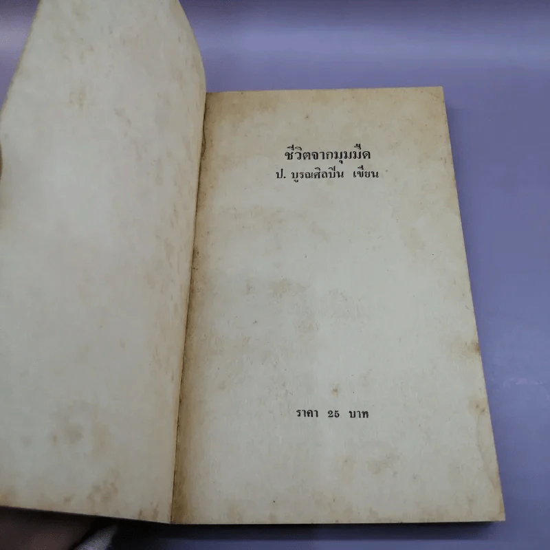 เรื่องจริงที่ทุเรศยิ่งกว่านิยาย ชีวิตจากมุมมืด - ป.บูรณศิลปิน รูปที่ 6