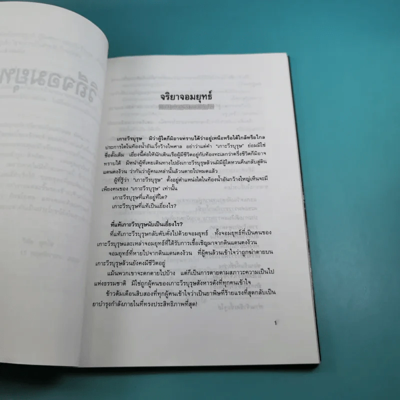 วิถีจอมยุทธ์ - วินัย สุกใส รูปที่ 14