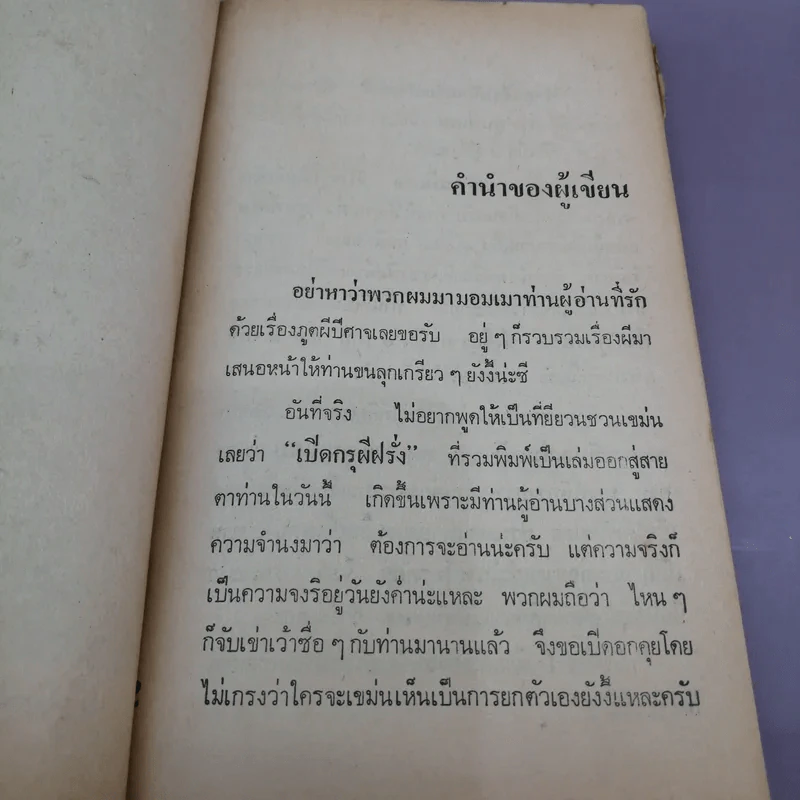 เปิดกรุผีฝรั่ง - ไอคิว 45 และเพื่อน รูปที่ 10