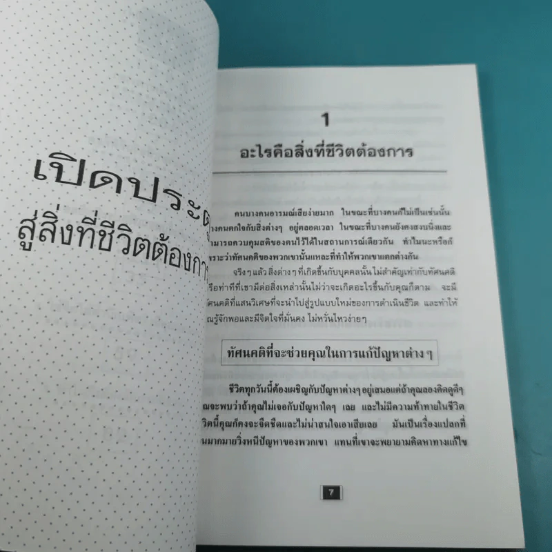 เปิดประตู สู่สิ่งที่ชีวิตต้องการ - ปานอนันต์ เทพบุตร รูปที่ 9