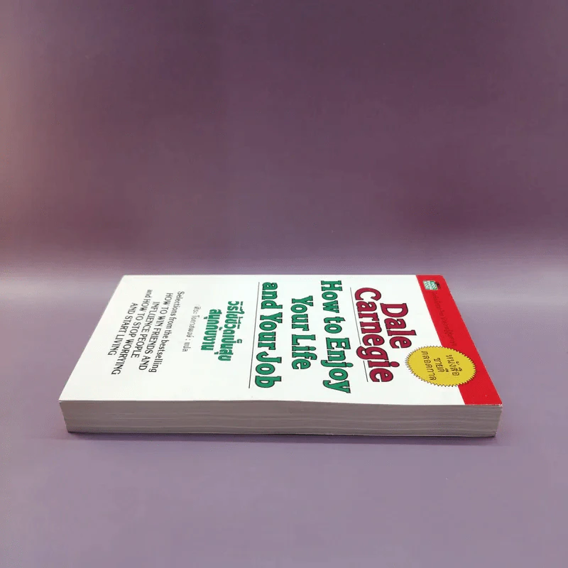 How to Enjoy Your Life and Your Job วิธีใช้ชีวิตเป็นสุข สนุกกับงาน - Dale Carnegie รูปที่ 3