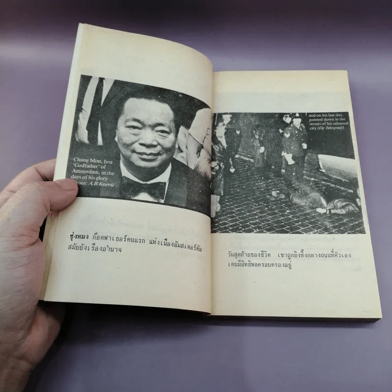 มาเฟียเลือดมังกร The Chinese Mafia - ลองแมน แปล รูปที่ 9