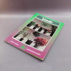 ไม้ประดับ - จุฑามาศ อ่อนวิมล รูปที่ 4