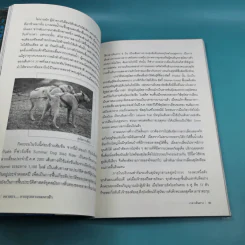 อลาสกา จากขุนเขาจรดเงาฟ้า - จันทนา นิลวรางกูร รูปที่ 11