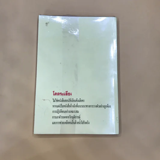 โคตรชเลียร์ - ใบไผ่เขียว รูปที่ 5