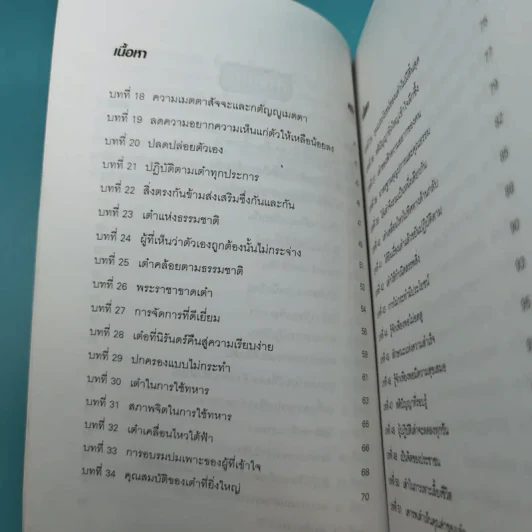 ศึกษาคัมภีร์เต้าเต๋อ - ชาตรี แซ่บ้าง รูปที่ 12