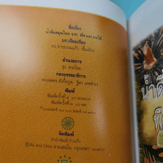 น้ำดื่มสมุนไพรจากพืชและผลไม้ - ดร.ธารธรรมแก้ว เชื้อเมือง รูปที่ 8