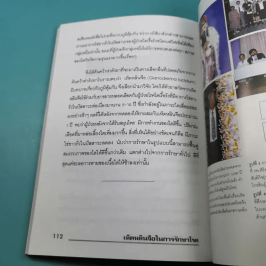 เห็ดหลินจือในการรักษาโรค - สาธิต ไทยทัตกุล รูปที่ 14