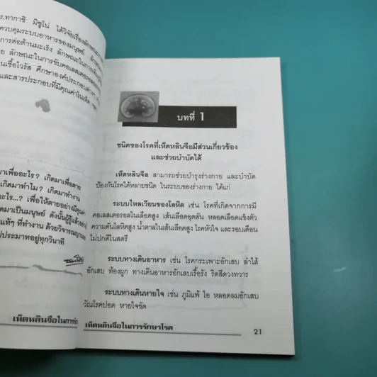 เห็ดหลินจือในการรักษาโรค - สาธิต ไทยทัตกุล รูปที่ 12