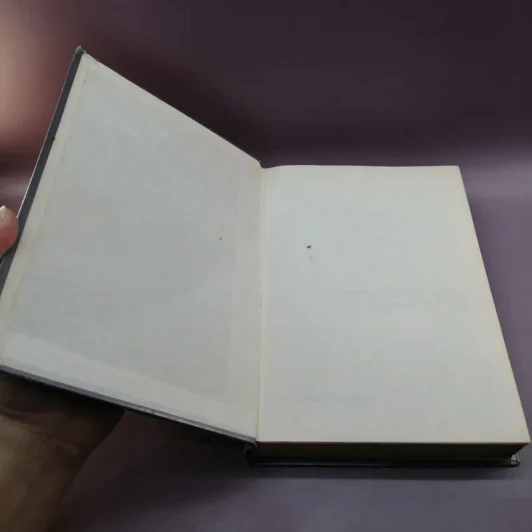 A Complete Dictionary of English Idioms and Slangs พจนานุกรมสำนวน-สแลง อังกฤษ-จีน-ไทย - เธียรชัย เอี่ยมวรเมธ รูปที่ 6