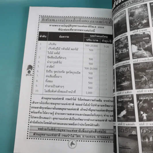 Study ฉบับ แหล่งท่องเที่ยว ภูกระดึง รูปที่ 12