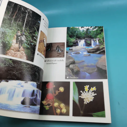 Study ฉบับ แหล่งท่องเที่ยว อุทยานแห่งชาติเขาใหญ่ ฉบับสมบูรณ์ รูปที่ 7