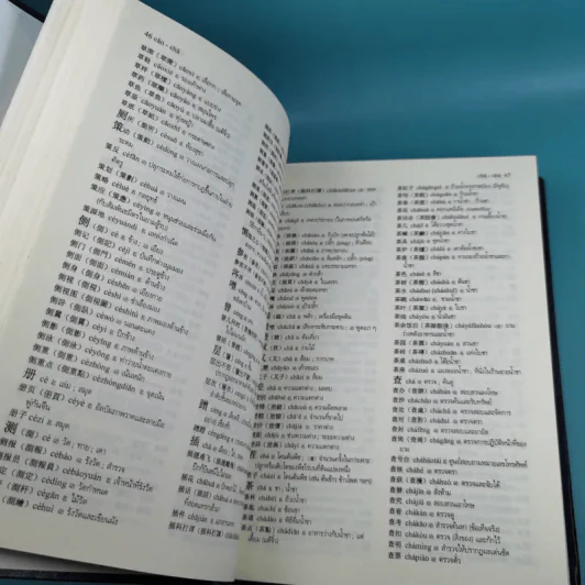 พจนานุกรมจีน-ไทย - ศาสตราจารย์เผย์ เสี่ยวรุ่ย รูปที่ 13