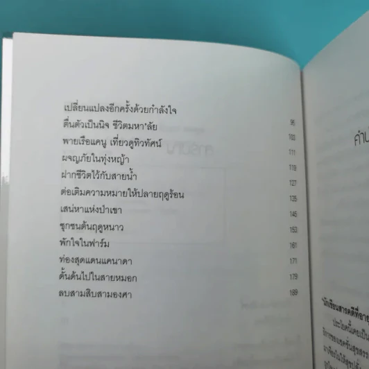 โลกหลากสีที่แคนาดา - ธีรพร คงพูล รูปที่ 9