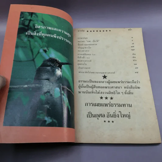 นิพพานบันเทิง - แพรเยื่อไม้ รูปที่ 6