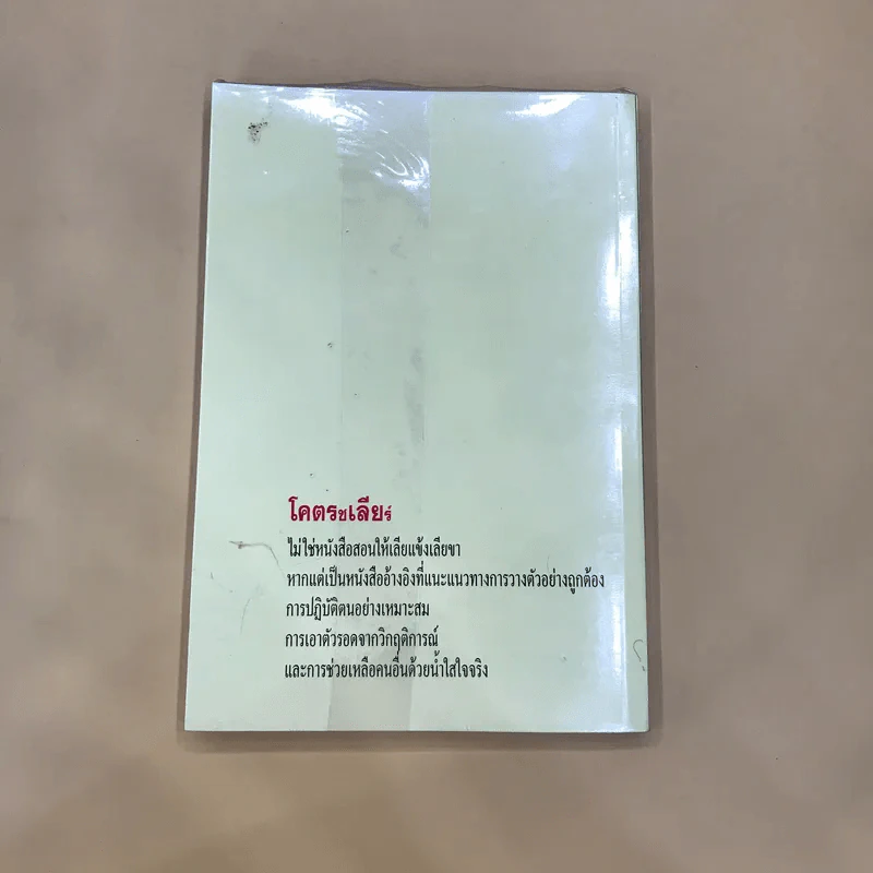 โคตรชเลียร์ - ใบไผ่เขียว รูปที่ 5