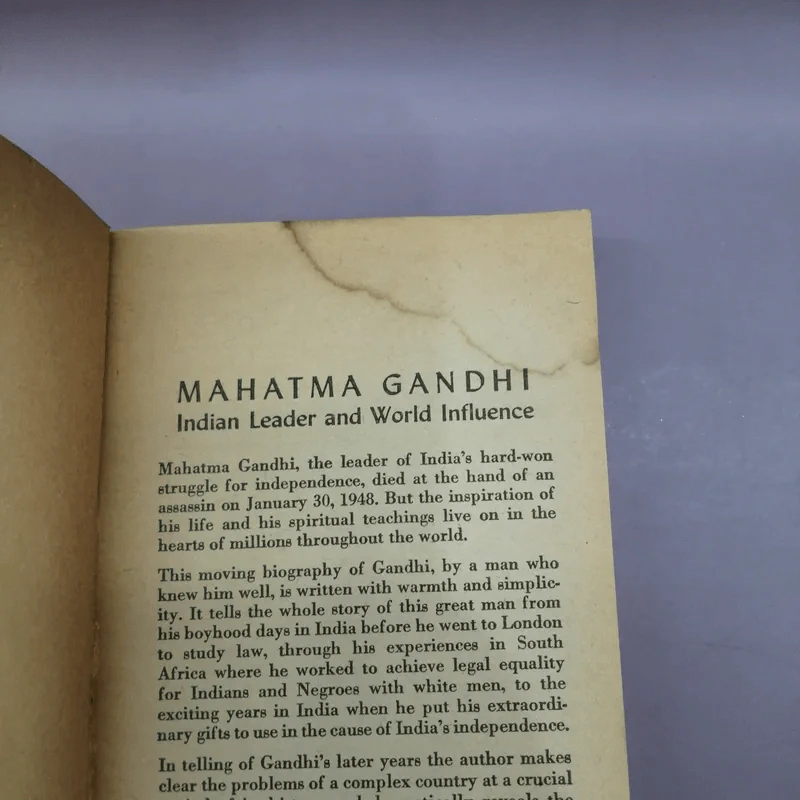 Gandhi - Louis Fischer รูปที่ 7