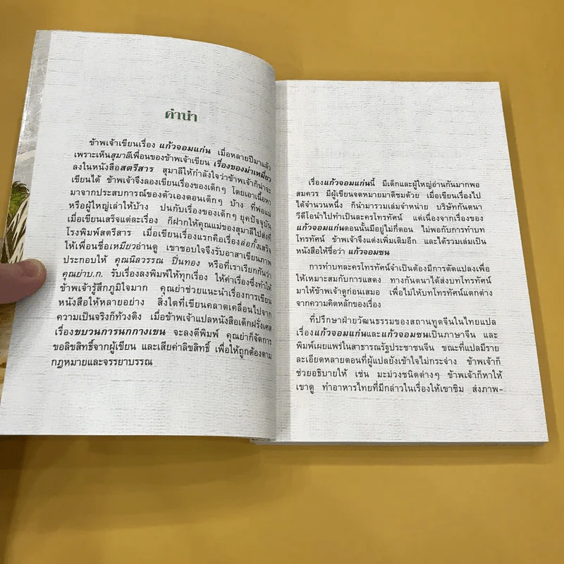 แก้วจอมแก่น - แว่นแก้ว รูปที่ 9