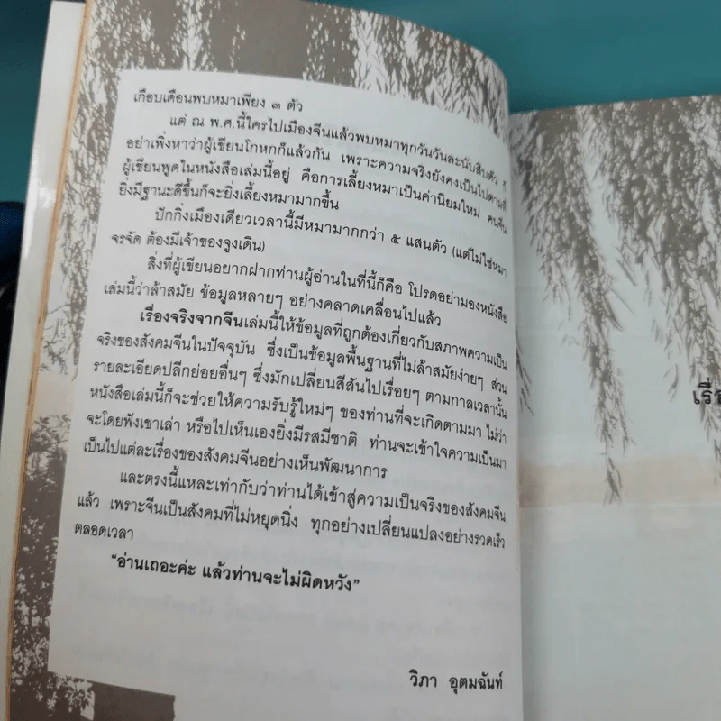 เรื่องจริงจากจีน - วิภา อุคมฉันท์ รูปที่ 13