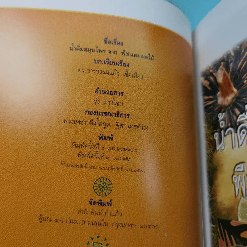 น้ำดื่มสมุนไพรจากพืชและผลไม้ - ดร.ธารธรรมแก้ว เชื้อเมือง รูปที่ 8