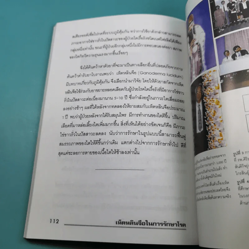 เห็ดหลินจือในการรักษาโรค - สาธิต ไทยทัตกุล รูปที่ 14