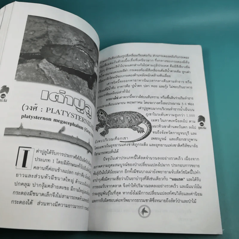 Study ฉบับ แหล่งท่องเที่ยว ภูกระดึง รูปที่ 11