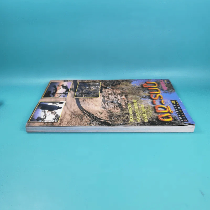 Study ฉบับ แหล่งท่องเที่ยว ภูกระดึง รูปที่ 5