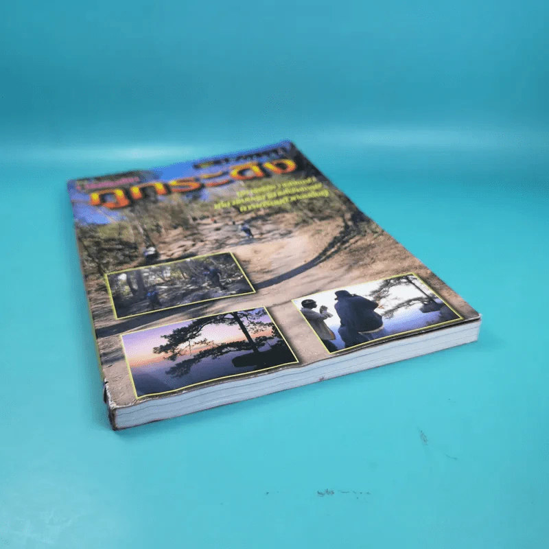 Study ฉบับ แหล่งท่องเที่ยว ภูกระดึง รูปที่ 4