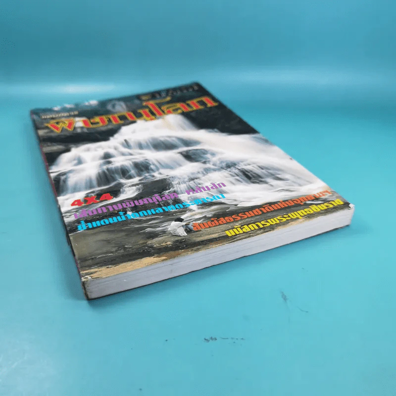 Study ฉบับ แค้มป์คาร์ พิษณุโลก รูปที่ 4