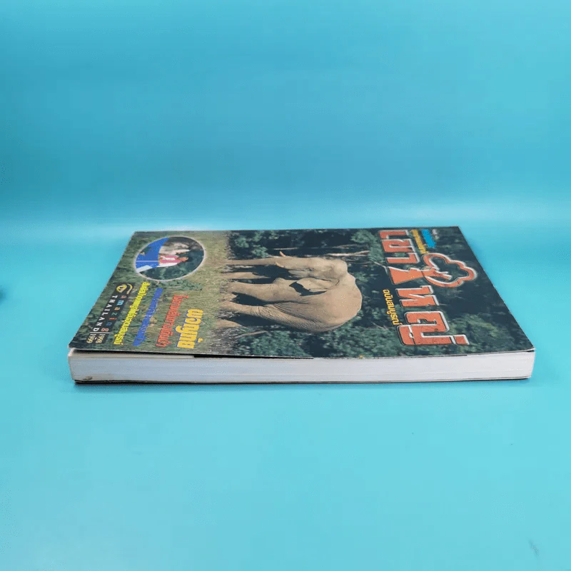 Study ฉบับ แหล่งท่องเที่ยว อุทยานแห่งชาติเขาใหญ่ ฉบับสมบูรณ์ รูปที่ 5