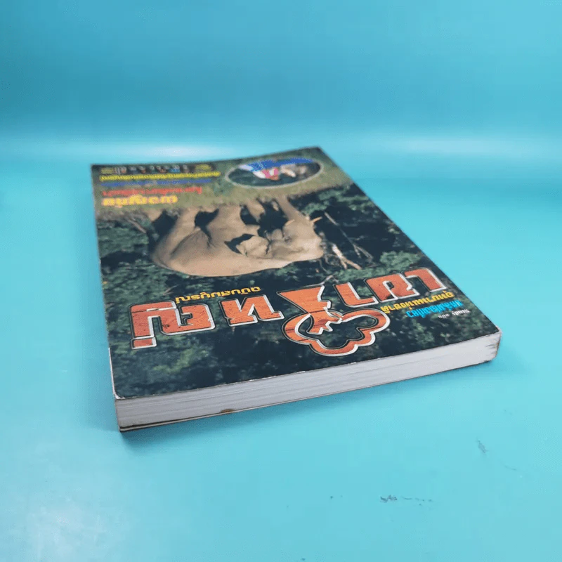 Study ฉบับ แหล่งท่องเที่ยว อุทยานแห่งชาติเขาใหญ่ ฉบับสมบูรณ์ รูปที่ 6
