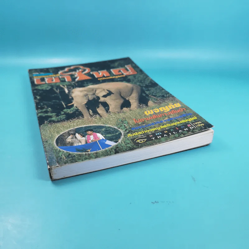 Study ฉบับ แหล่งท่องเที่ยว อุทยานแห่งชาติเขาใหญ่ ฉบับสมบูรณ์ รูปที่ 4