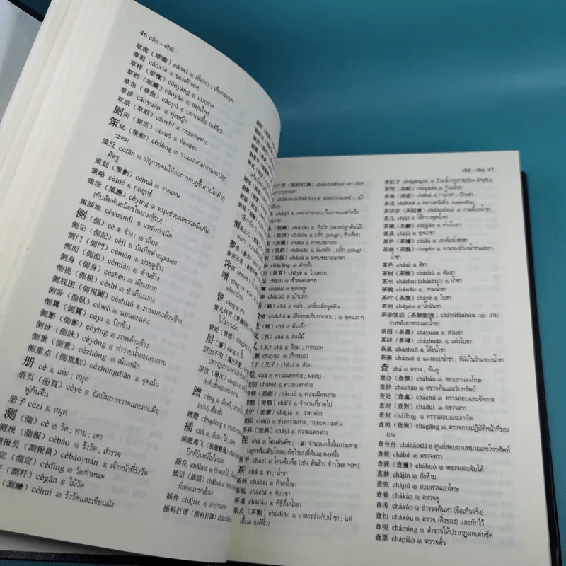 พจนานุกรมจีน-ไทย - ศาสตราจารย์เผย์ เสี่ยวรุ่ย รูปที่ 13