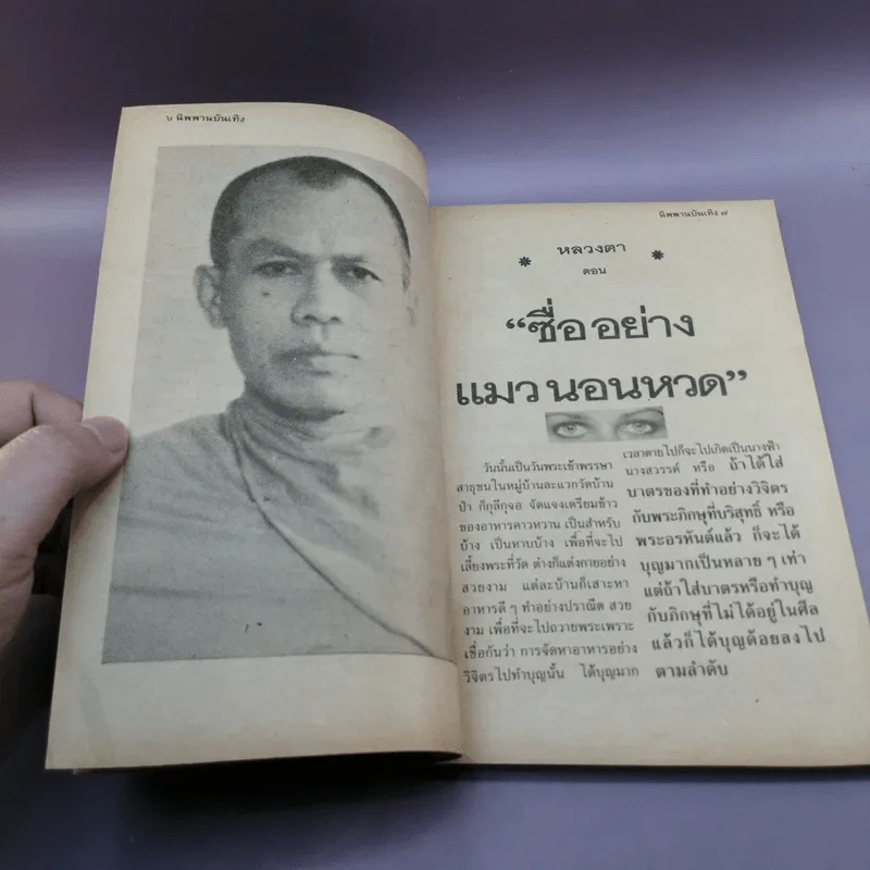 นิพพานบันเทิง - แพรเยื่อไม้ รูปที่ 9