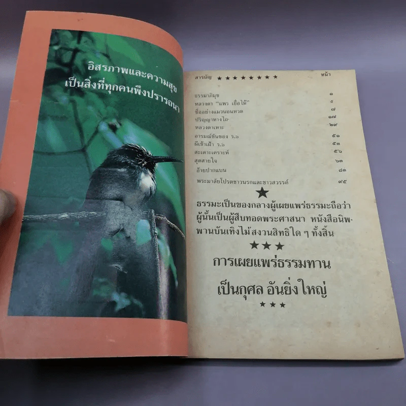 นิพพานบันเทิง - แพรเยื่อไม้ รูปที่ 6